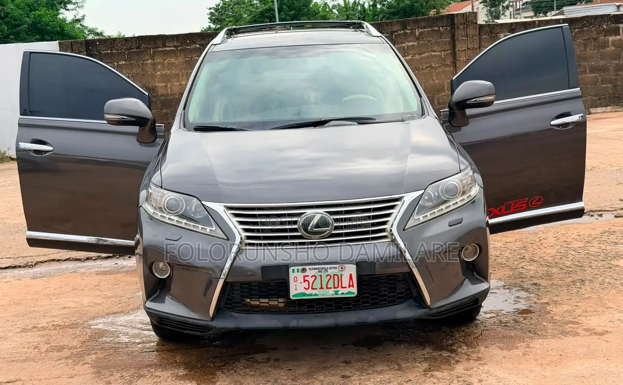 Lexus RX 2010 Gray