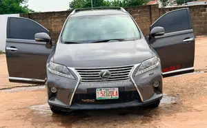 Lexus RX 2010 Gray