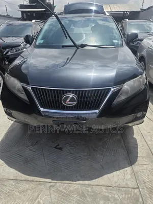 Lexus RX 2010 Gray