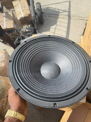 Omax 15 Inches Speaker