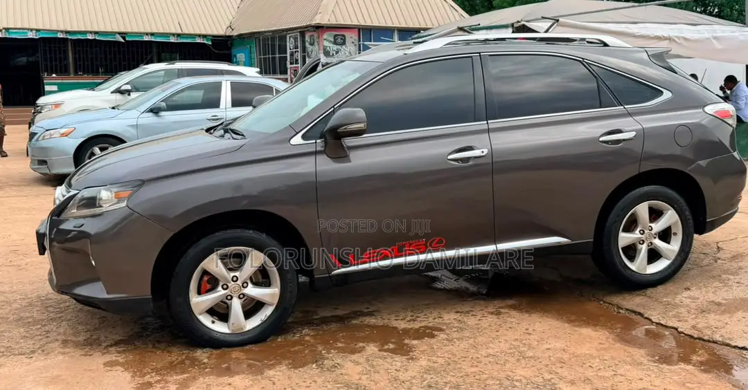 Lexus RX 2010 Gray