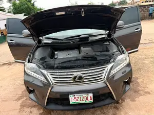 Lexus RX 2010 Gray