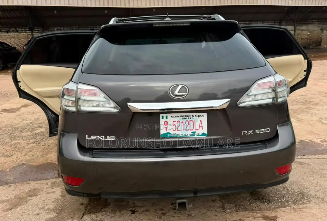 Lexus RX 2010 Gray