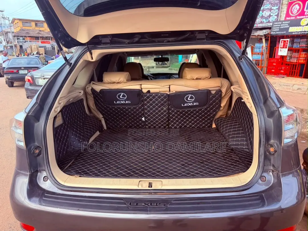 Lexus RX 2010 Gray