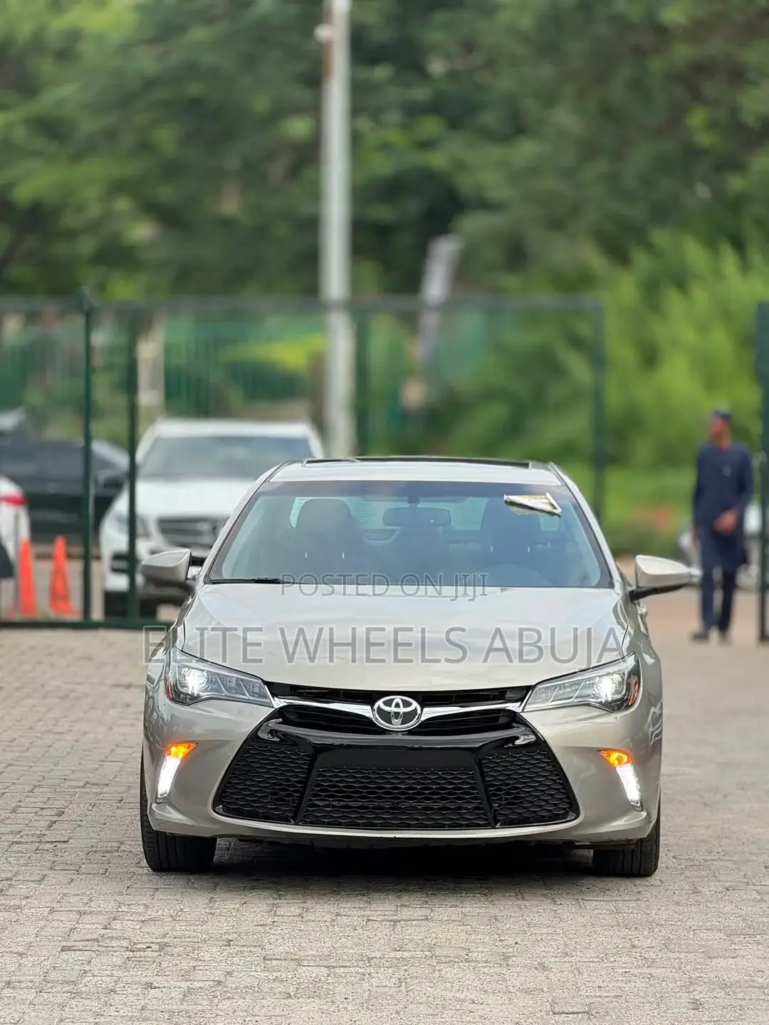 Car Rentals