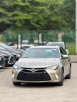 Car Rentals