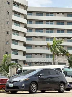 Toyota Prius 2010 Gray