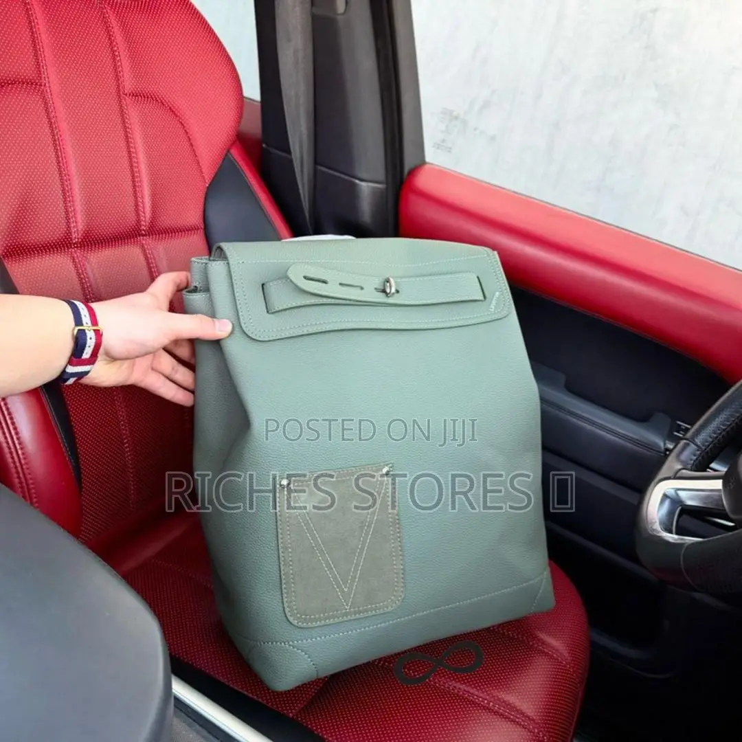 Luxury Louis Vuitton Back Pack
