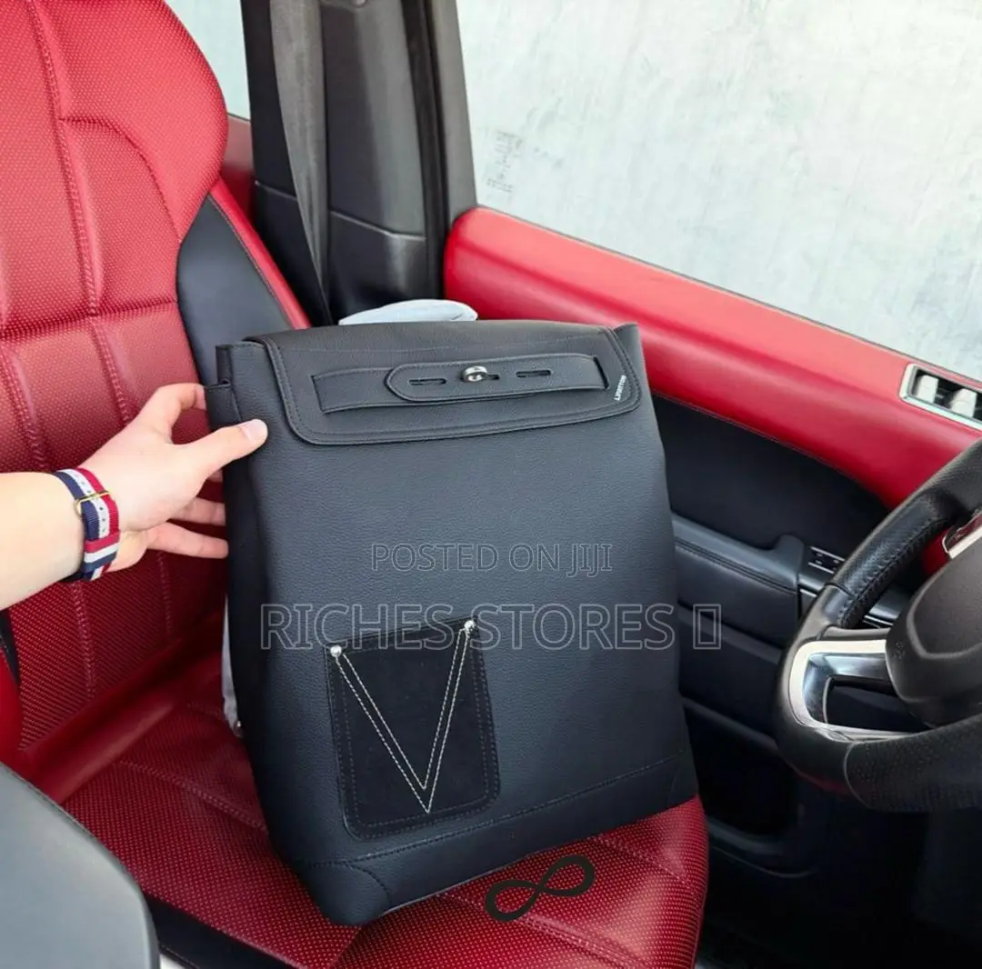 Luxury Louis Vuitton Back Pack