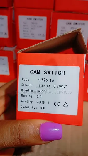 Paulgrand Lw26 -16 Cam Switch - Reliable Industrial Rotary Switch