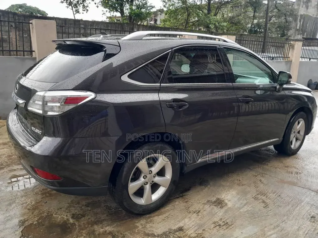 Lexus RX 350 2010 Gray