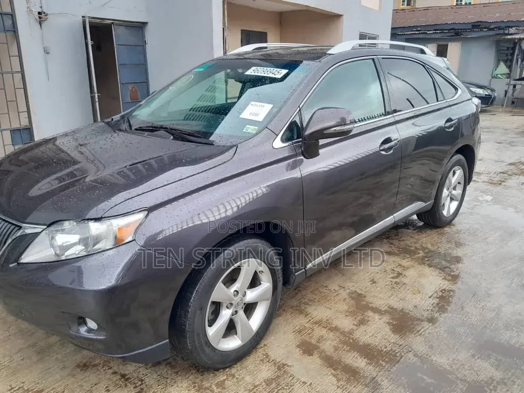 Lexus RX 350 2010 Gray
