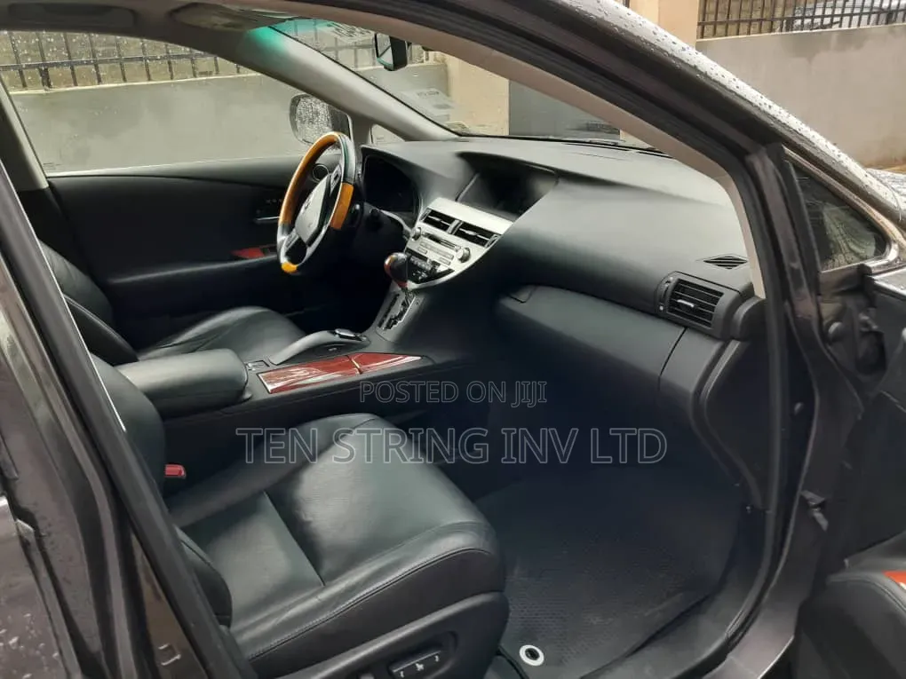 Lexus RX 350 2010 Gray