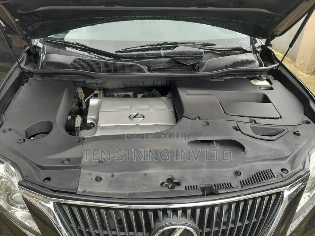 Lexus RX 350 2010 Gray