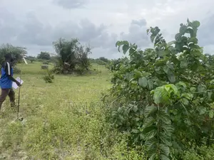 Allocated Prime Plot in Ibeju-Lekki