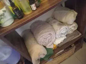 Professional Body Massage