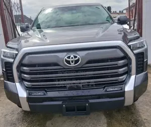 Toyota Tundra 2024 Gray
