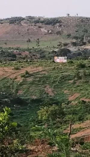 Mixed-Use Land in Hectares