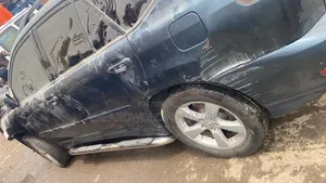 Lexus RX 2004 Blue