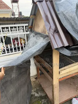 Chicken Coop