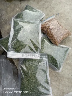 Dehydrated Leaves