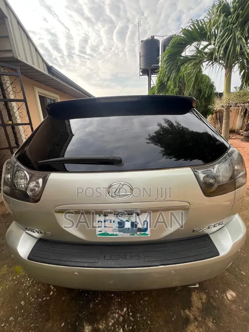 Lexus RX 2009 Silver