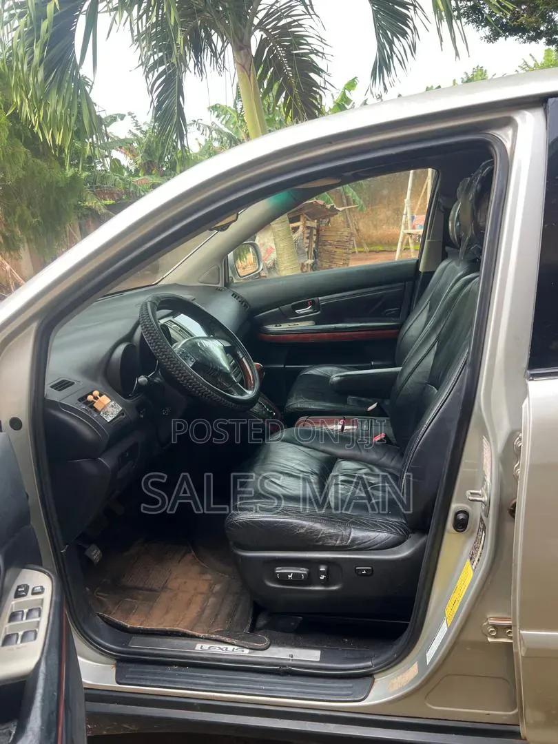 Lexus RX 2009 Silver
