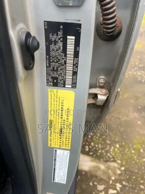 Lexus RX 2009 Silver