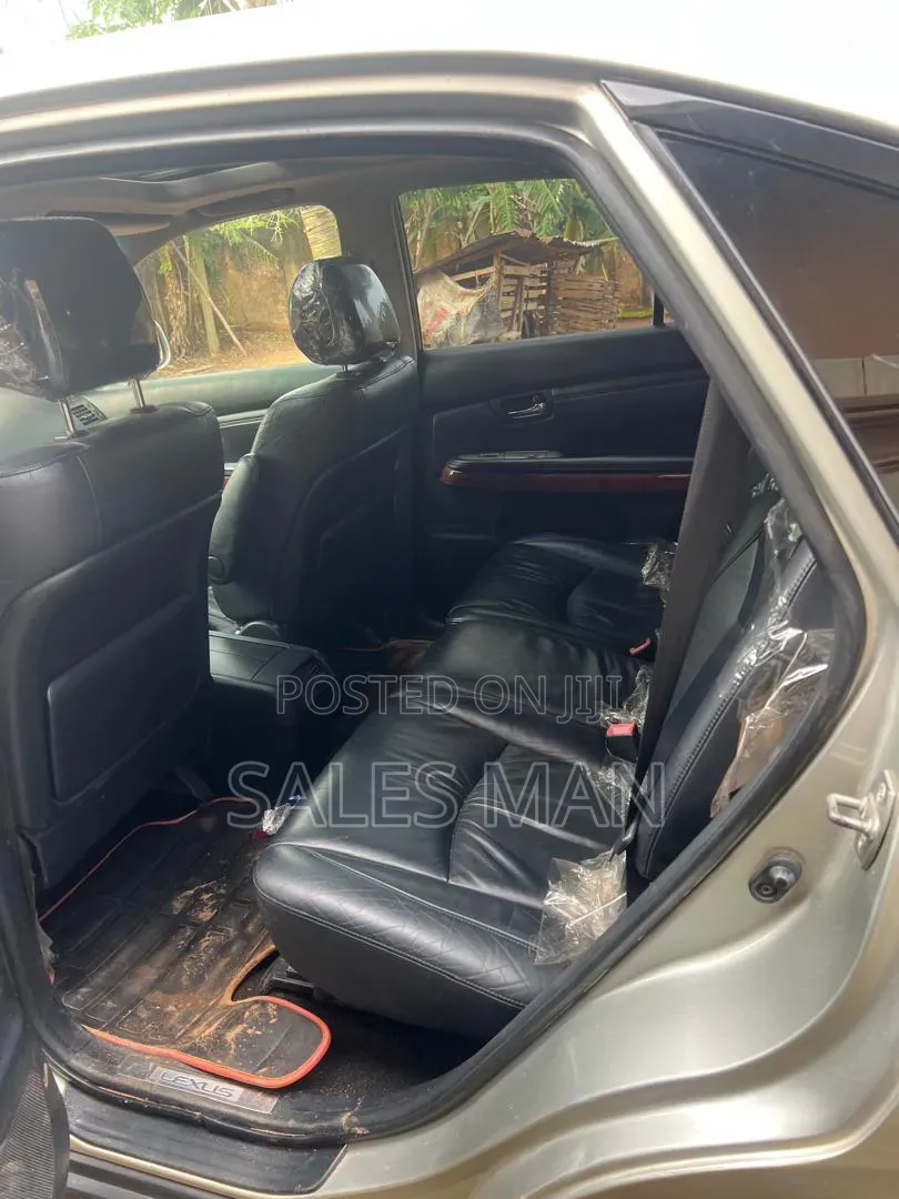 Lexus RX 2009 Silver