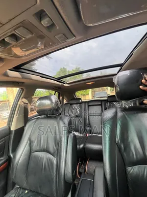 Lexus RX 2009 Silver