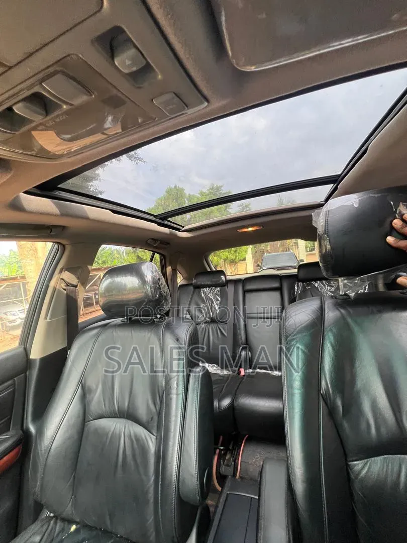 Lexus RX 2009 Silver