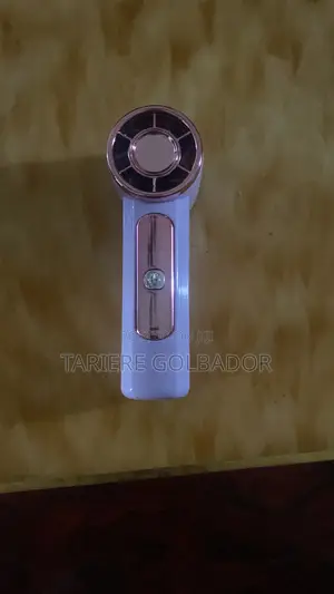 Mini Face Fan