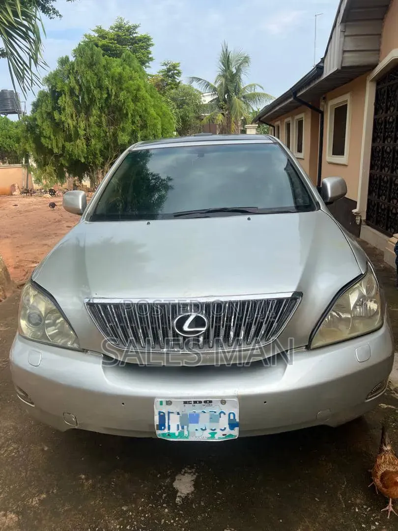 Lexus RX 2009 Silver