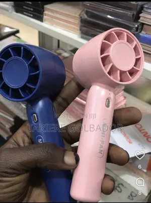 Mini Face Fan