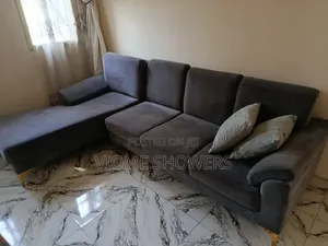 Gray Couch