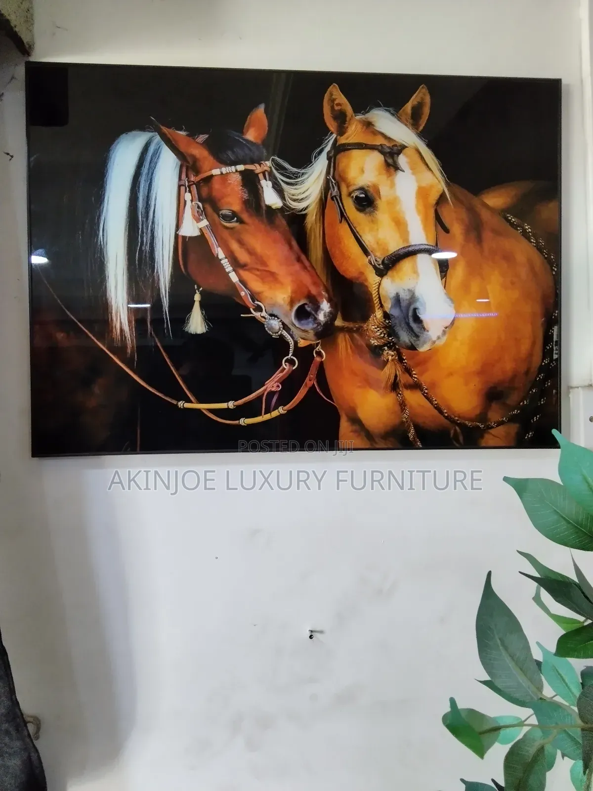Decorative Wall Frame