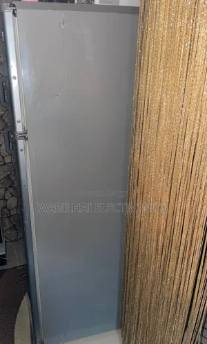 Hisense Double Door Refrigerator
