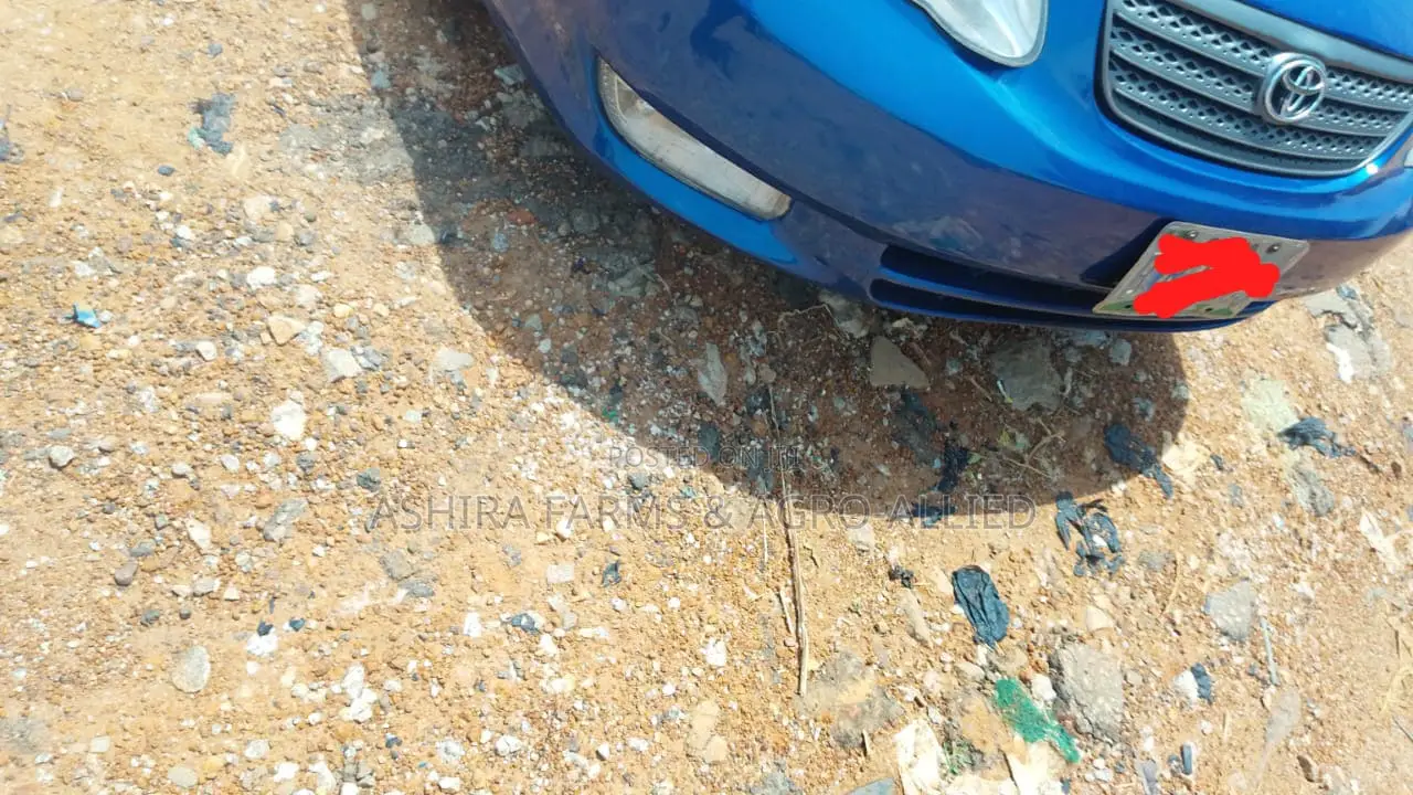 Toyota Corolla 2003 Blue