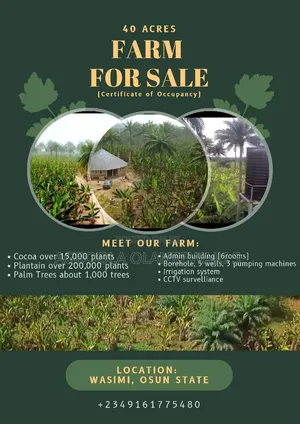 Farm for Sale Cocoa, Plantain, Palm Trees(4 Years Old)