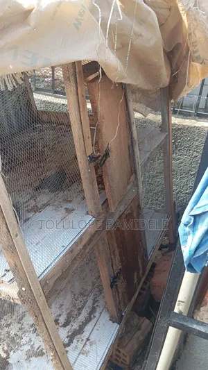 Poultry Cage