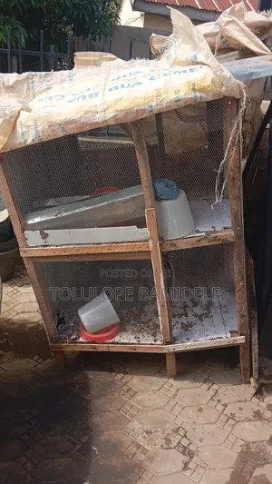 Poultry Cage