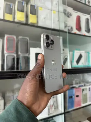 Apple iPhone 15 Pro Max 512 GB Silver