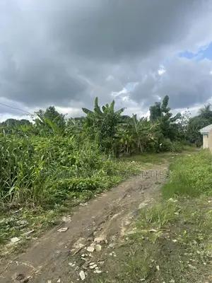 Buy And Build Emohua