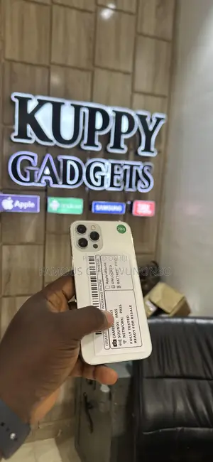 Apple iPhone 12 Pro Max 256 GB Silver