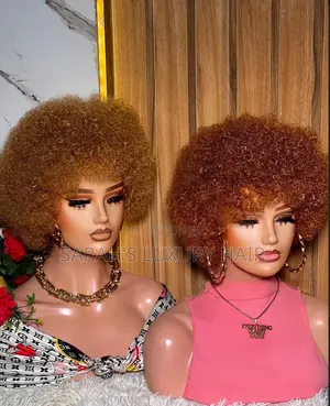 Afro Human Hair Wig