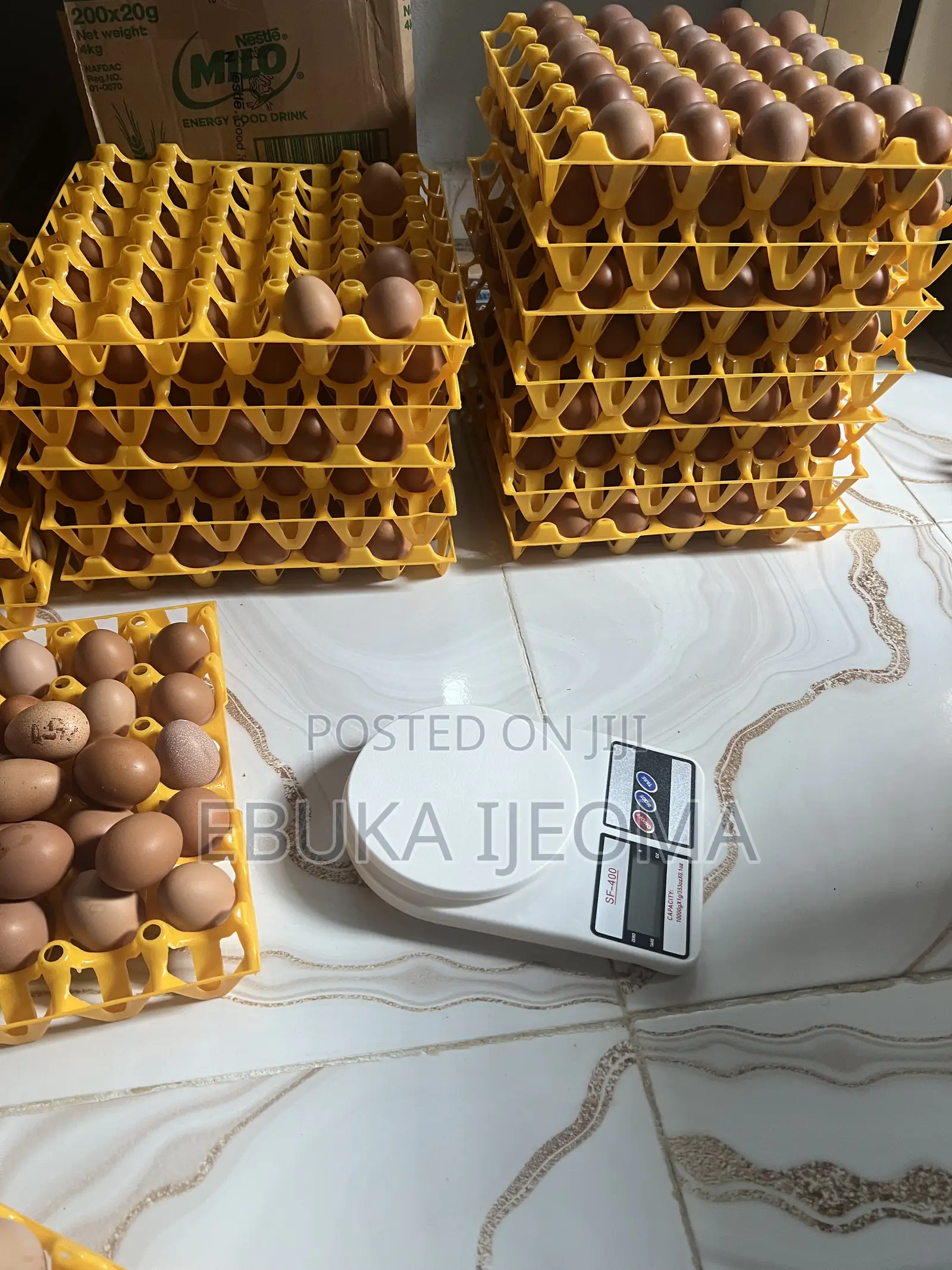 Farm Fresh Eggs