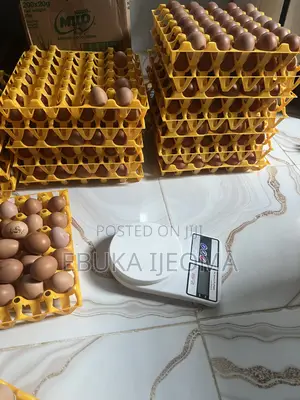 Farm Fresh Eggs