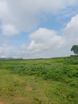 Greenwood Estate Apo Shetti