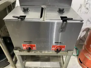 Industrial Fryer
