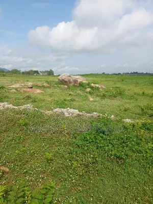 Greenwood Estates Land